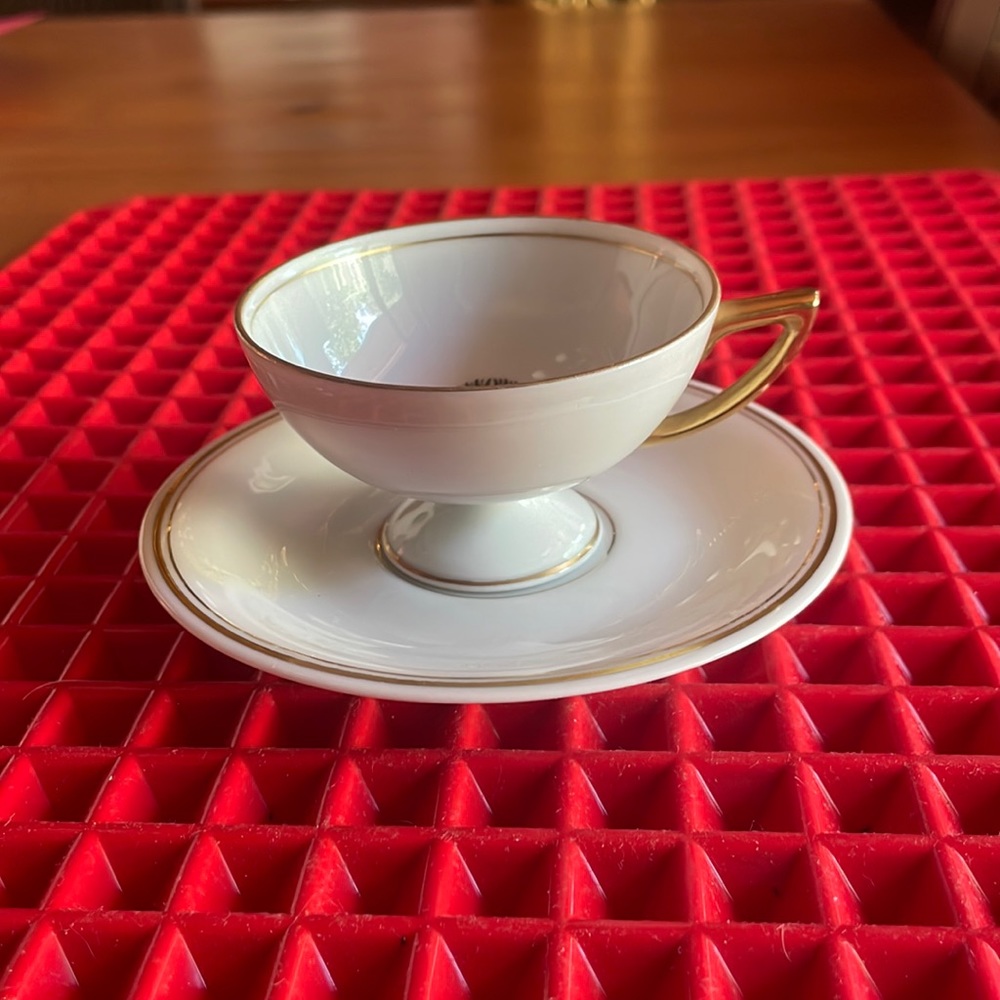 BEAUTIFUL ANTIQUE H & C BAVARIA HAND PAINTED “DRESDEN” DEMITASSE TEACUP